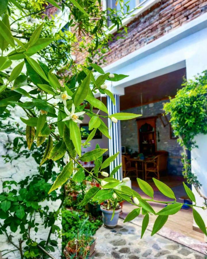 Private Room Historic Center Elbasan Exterior photo